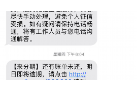 定边如何避免债务纠纷？专业追讨公司教您应对之策