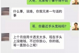 定边为什么选择专业追讨公司来处理您的债务纠纷？